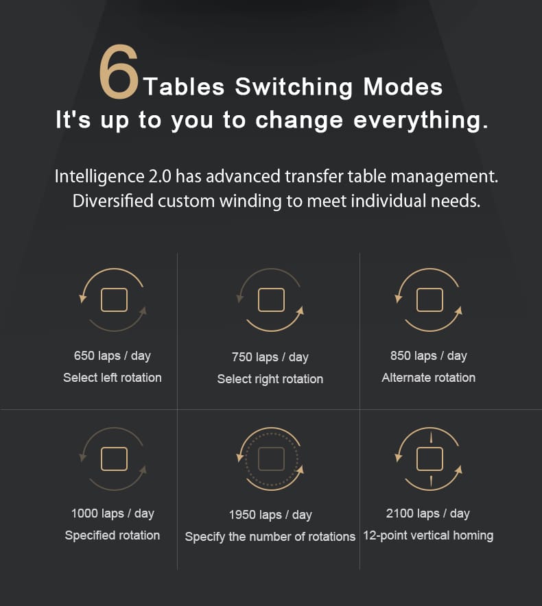Watch Winder functions