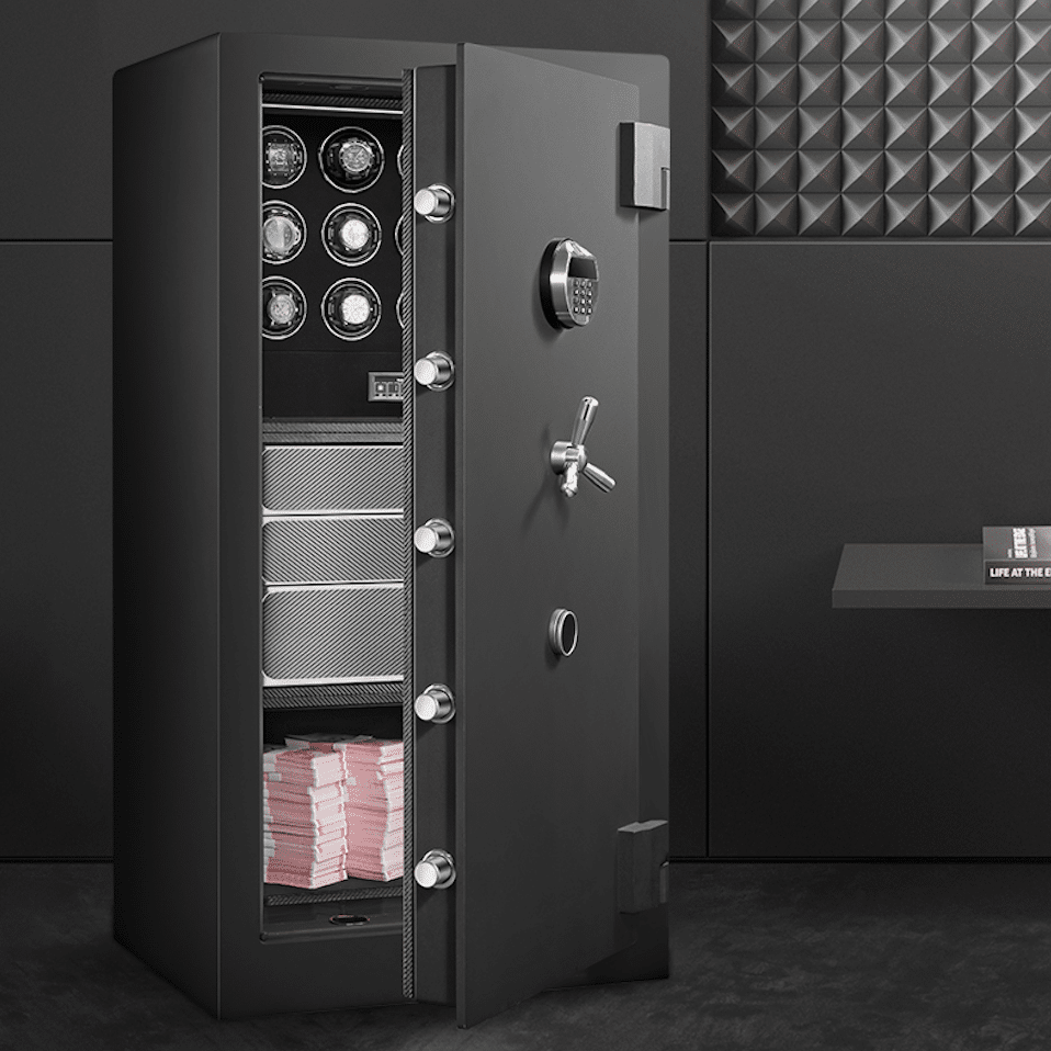 Carbon Watch Winder Safe
